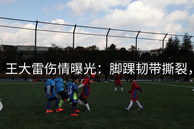 王大雷伤情曝光：脚踝韧带撕裂，康复期未定